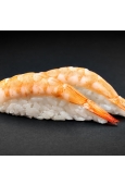 EBI nigiri