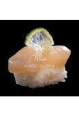Hotate – nigiri